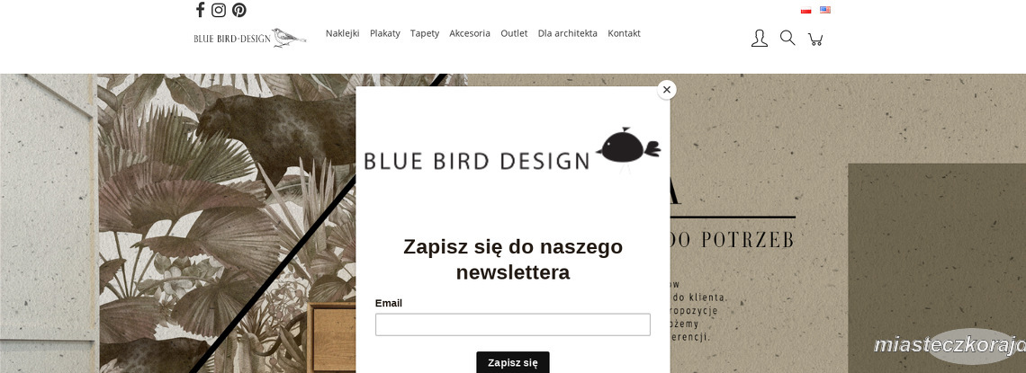 Bluebird Design
