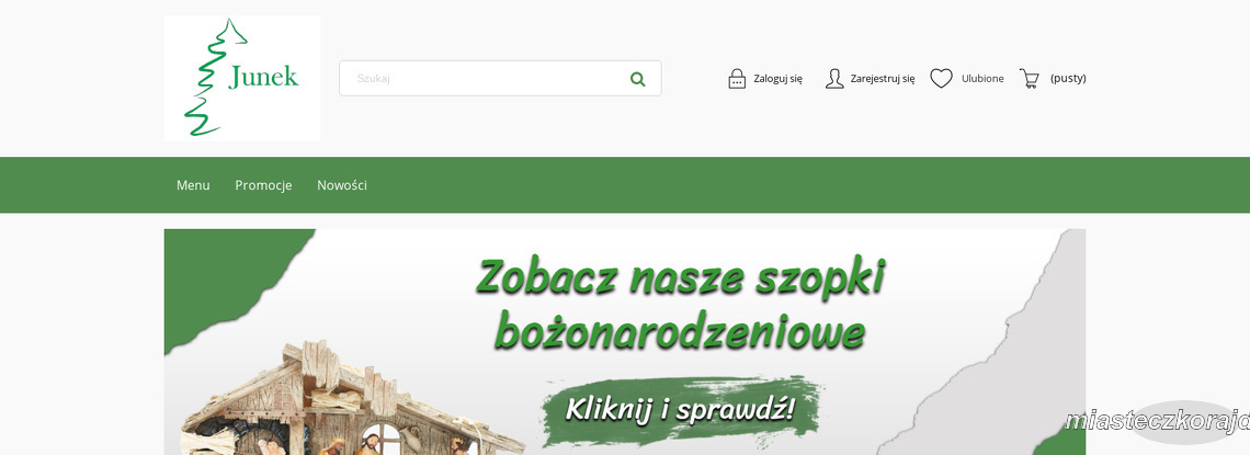 Paweł Molis P.P.H.U. JUNEK